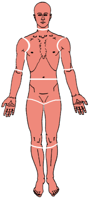 Travell Trigger Point Chart Pdf