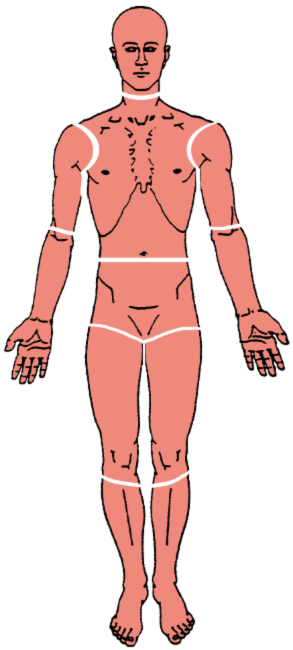 Trigger Points Back Chart