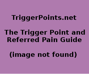 Ql-glut Max-levator Ani-piriformis Trigger Point Diagram