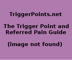 Soleus Trigger Point Diagram
